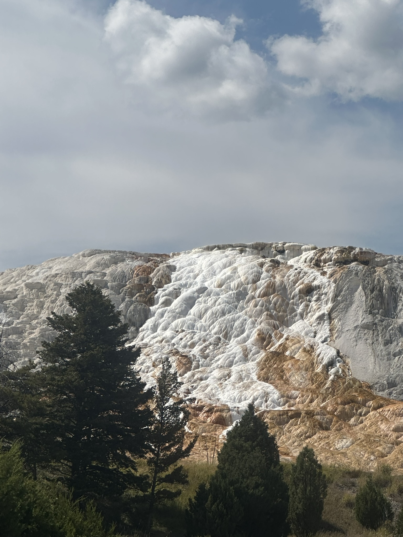 Yellowstone And Grand Teton National Parks - Image 718